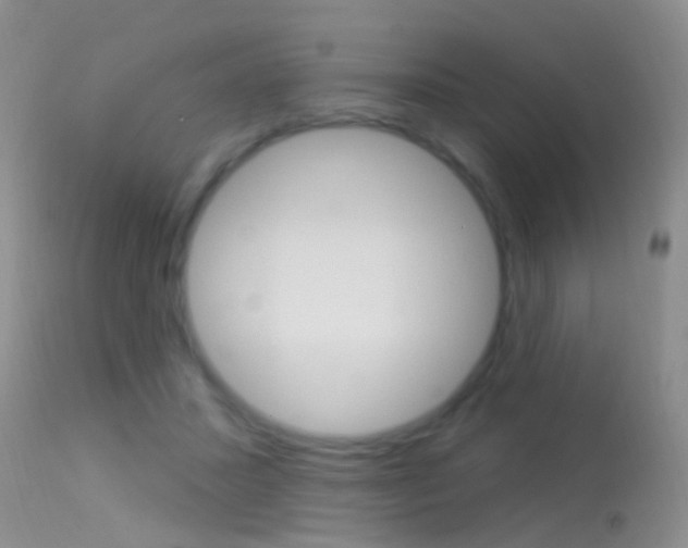 X0000113530407200909181005