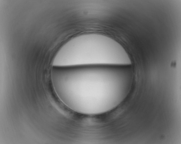 X0000113530408200909181005