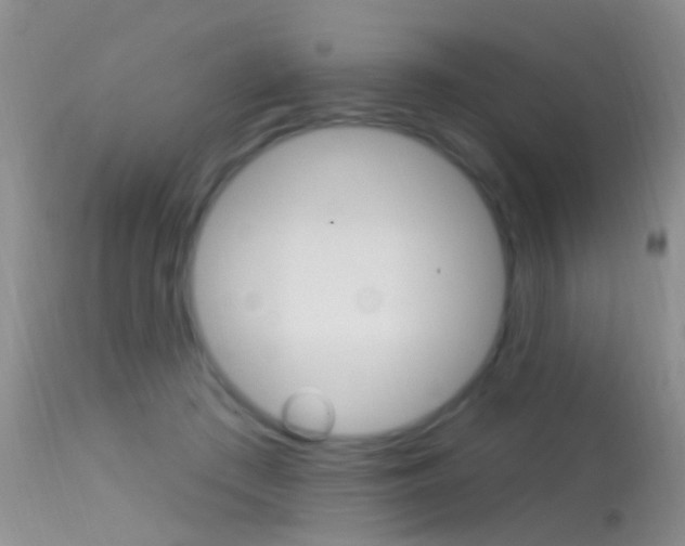 X0000113530409200909181005