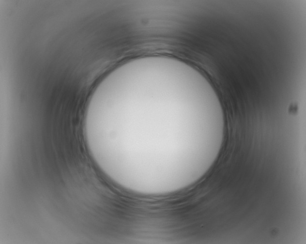 X0000113530411200909181005