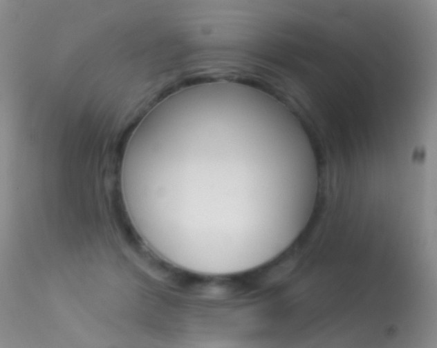 X0000113530412200909181005