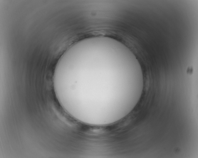 X0000113530414200909181005