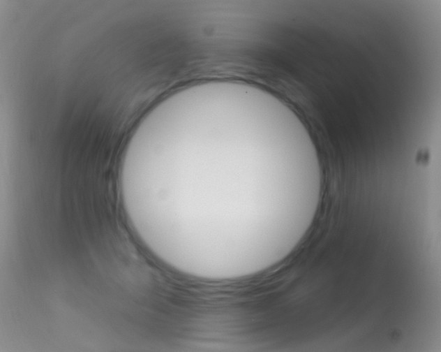 X0000113530415200909181005