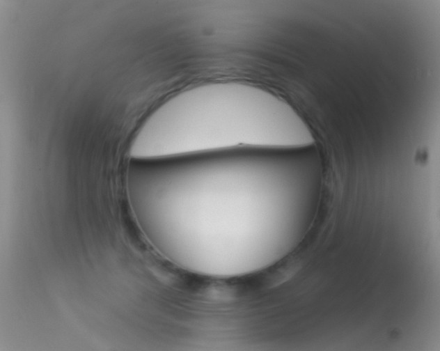 X0000113530416200909181005