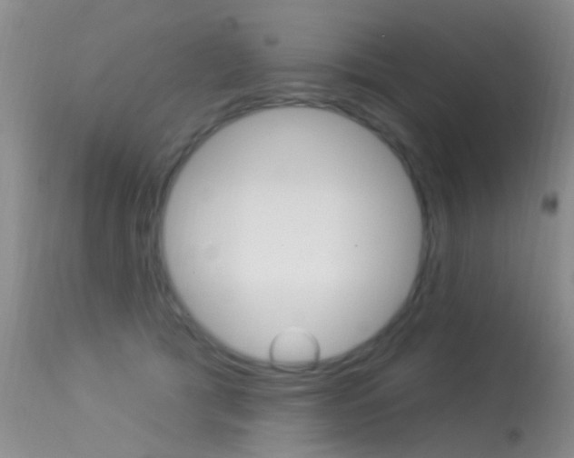 X0000113530417200909181005