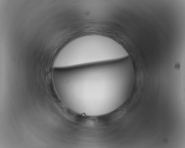 X0000113530420200909181004