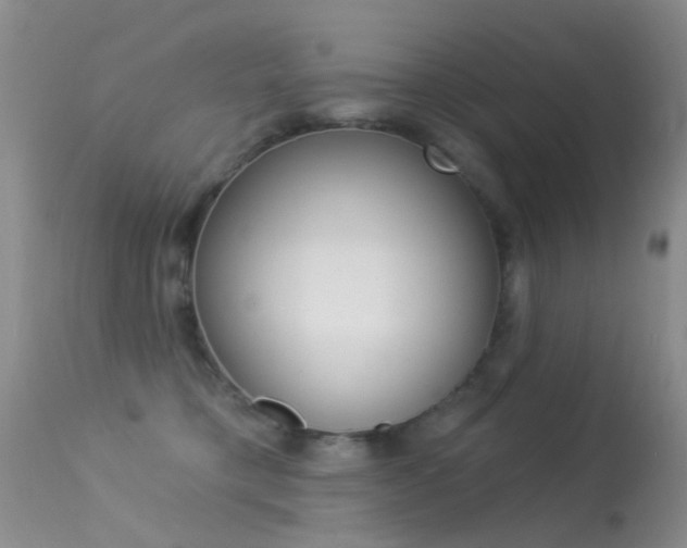 X0000113530421200909181004