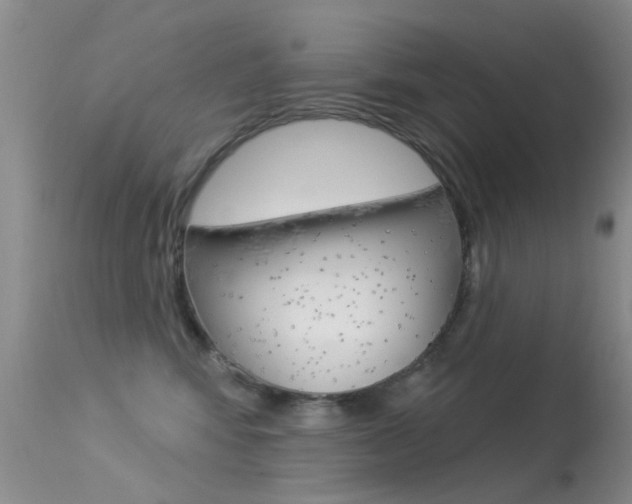 X0000113530424200909181004