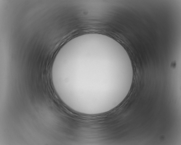 X0000113530425200909181004