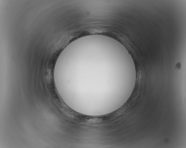 X0000113530426200909181004