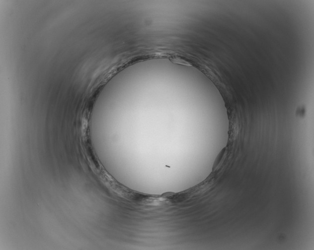 X0000113530427200909181004