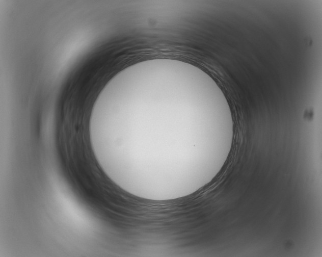 X0000113530429200909181004