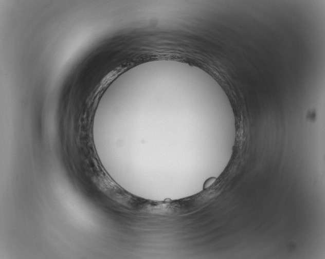 X0000113530430200909181004