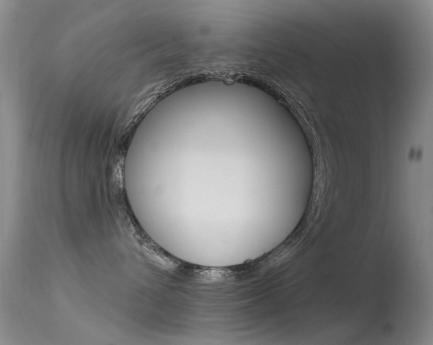 X0000113530432200909181004