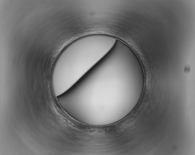 X0000113530434200909181004