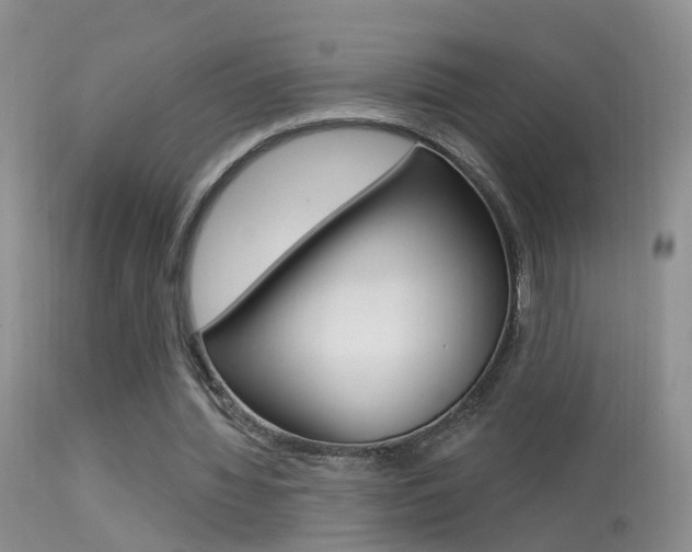 X0000113530436200909181004