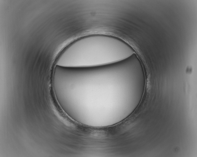 X0000113530438200909181004