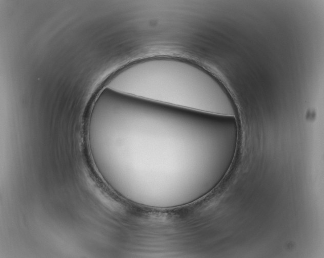 X0000113530439200909181004