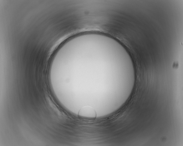 X0000113530440200909181004