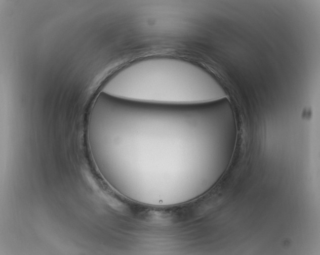 X0000113530442200909181004