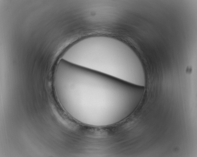 X0000113530443200909181004