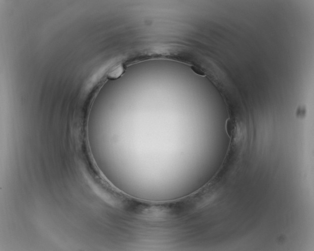 X0000113530444200909181004
