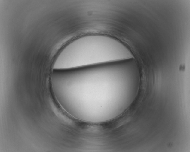 X0000113530446200909181004