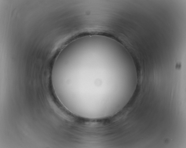 X0000113530448200909181004