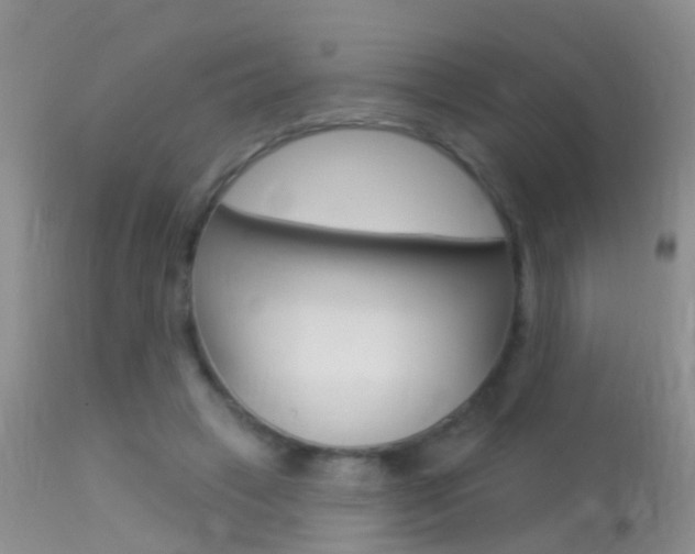 X0000113530449200909181004