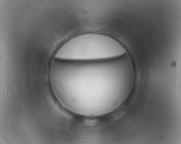 X0000113530450200909181004