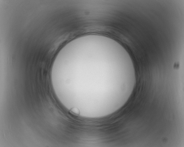 X0000113530452200909181004