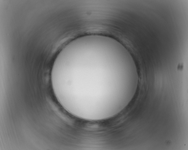 X0000113530454200909181004