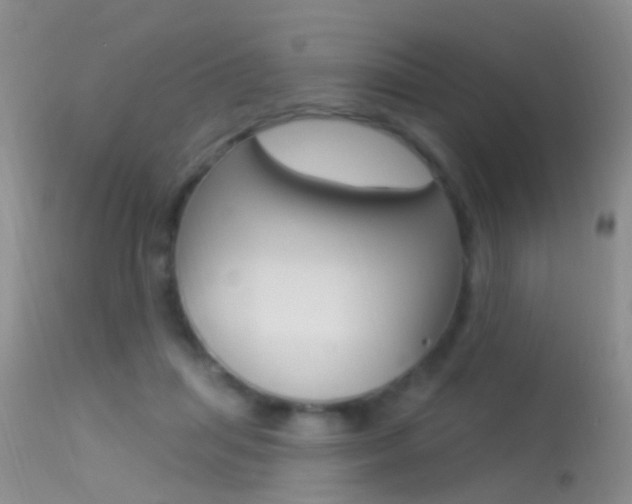 X0000113530455200909181004