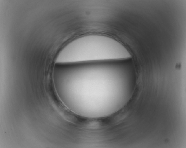 X0000113530456200909181004