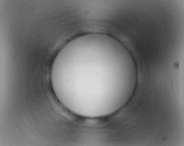 X0000113530457200909181004