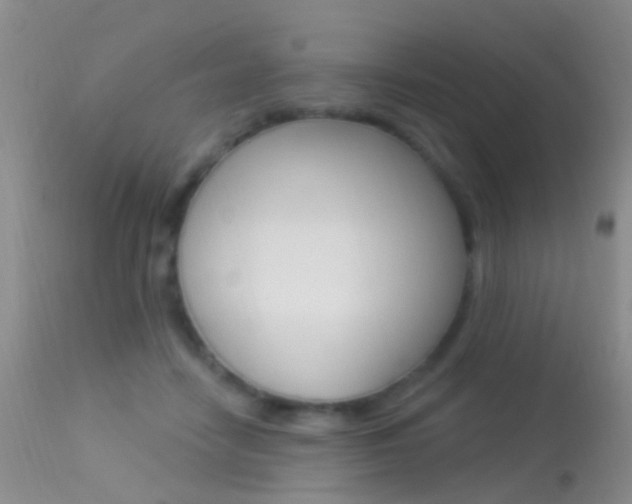 X0000113530458200909181004