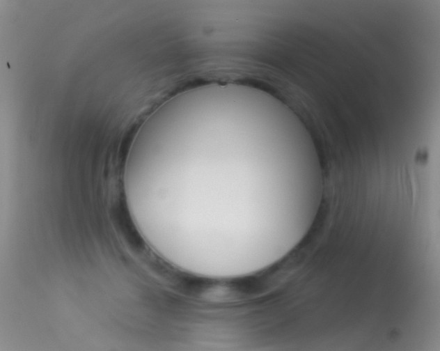 X0000113530460200909181004