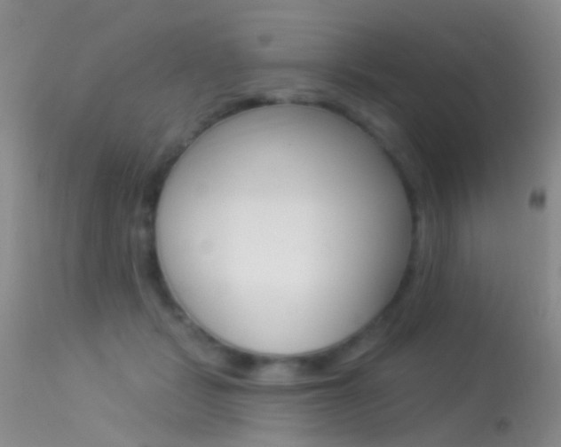 X0000113530461200909181004