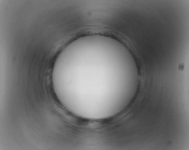 X0000113530462200909181004