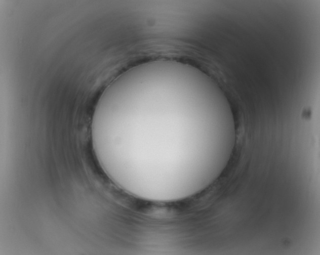 X0000113530464200909181004