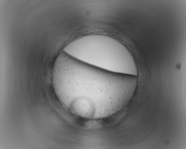 X0000113530465200909181004