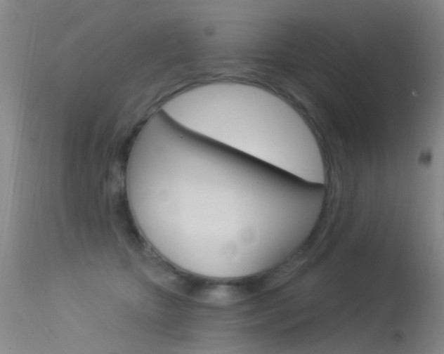X0000113530467200909181004