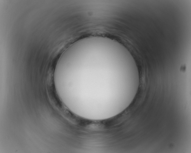 X0000113530468200909181004