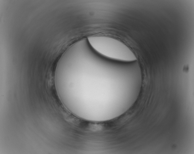 X0000113530469200909181004