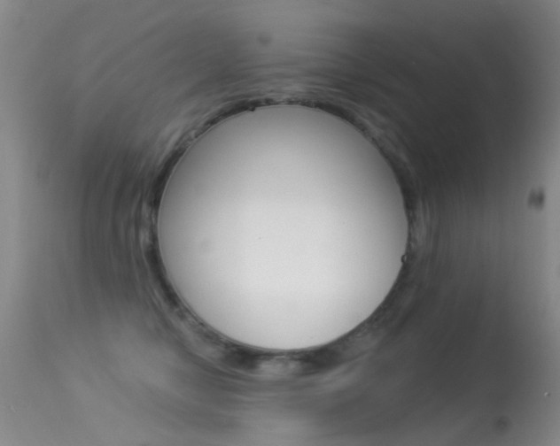 X0000113530470200909181004