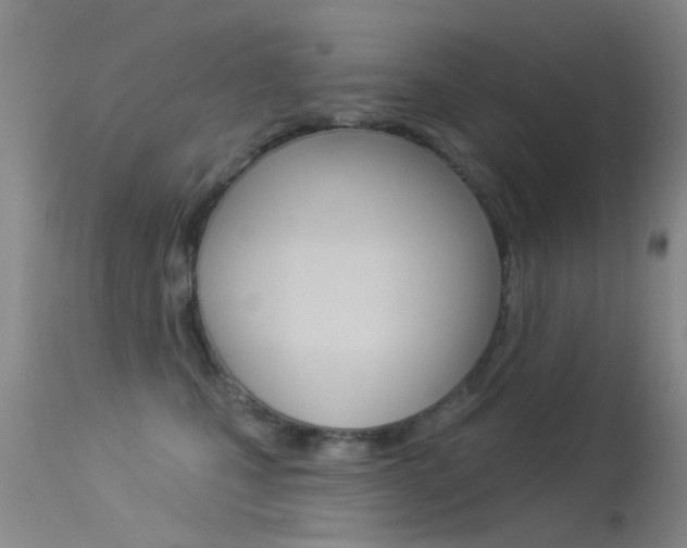 X0000113530471200909181004