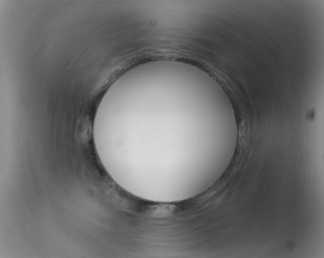X0000113530474200909181004