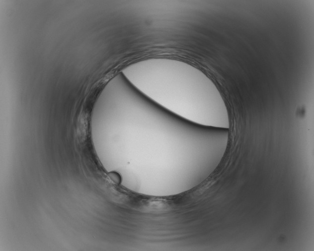X0000113530475200909181004