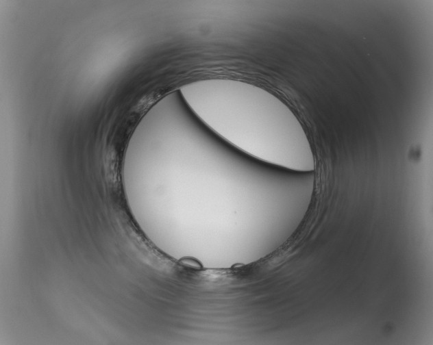 X0000113530477200909181004