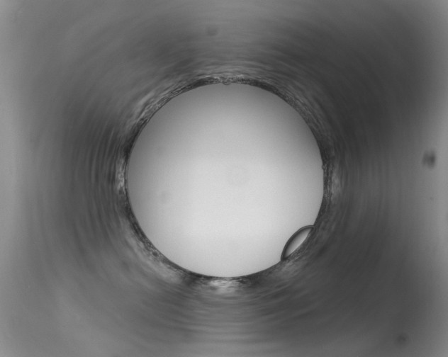 X0000113530478200909181004